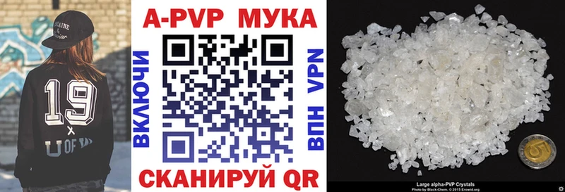 kraken как зайти  Маркс  Alfa_PVP крисы CK 