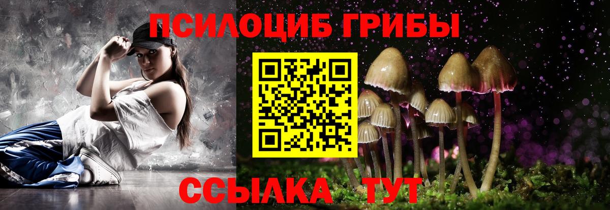 Маркс  Псилоцибиновые грибы Psilocybe  Псилоцибиновые грибы GOLDEN TEACHER  Вход с VPN 
