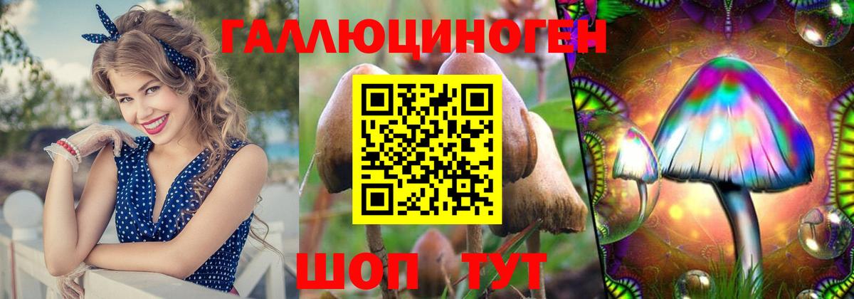 Псилоцибиновые грибы мухоморы Маркс